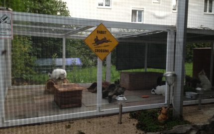 Außengehege für Kaninchen und Meerschweinchen
