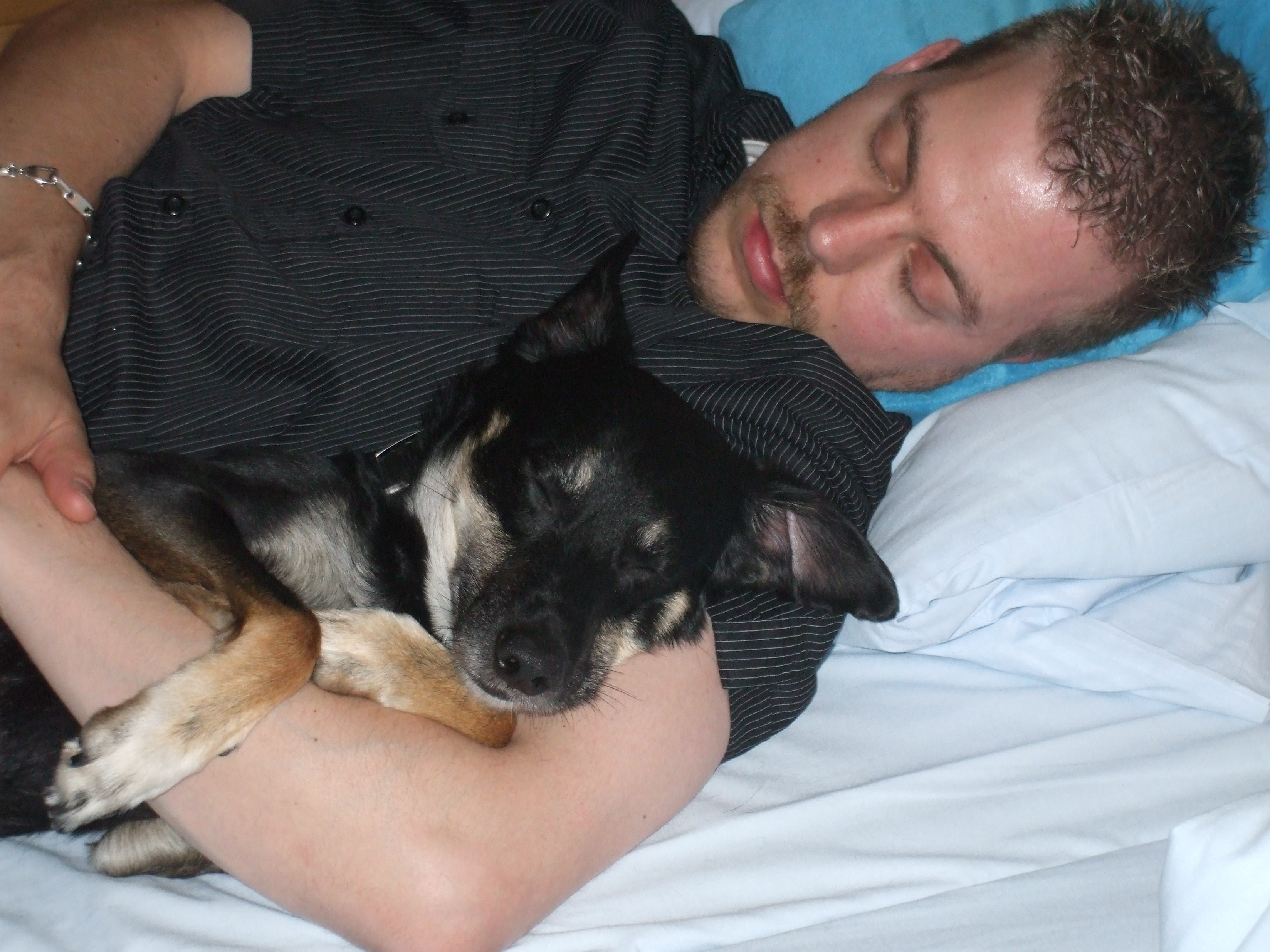 Bindung zwischen Mensch und Hund