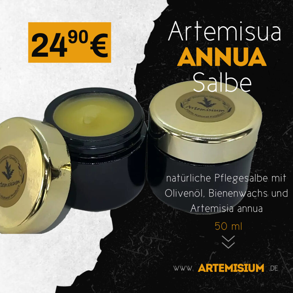 Artemisia annua Salbe, natürliche Pflegesalbe mit Olivenöl, Bienenwachs und Artemisia annua, 50 ml im Violettglastiegel, von ARTEMISIUM